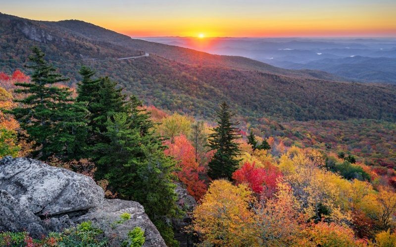 3dd9239d-d00c-47e8-8900-6d073b44ccbe-ten8dec9e34413f3271b