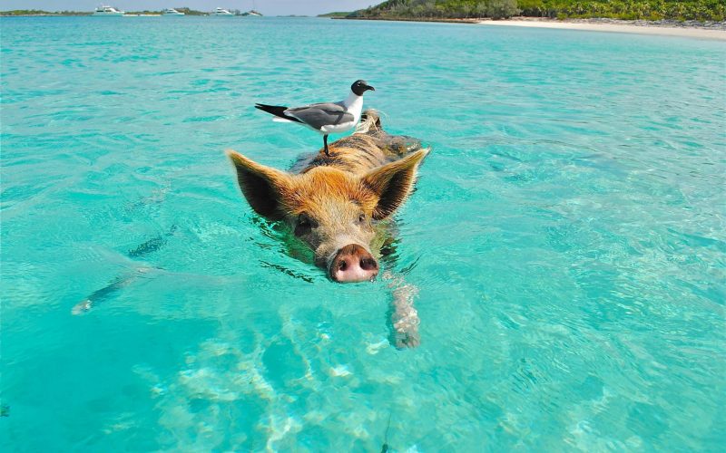 57b59653-98e8-4d4b-a051-c45d75243bca