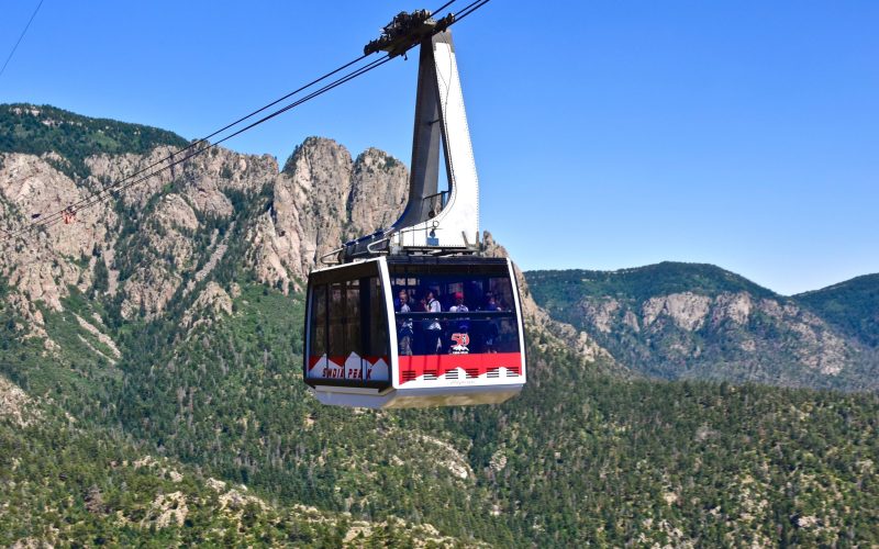 _DSC2931_copy_239cf4da-f842-4e00-8e68-69ed0fa5ae4a