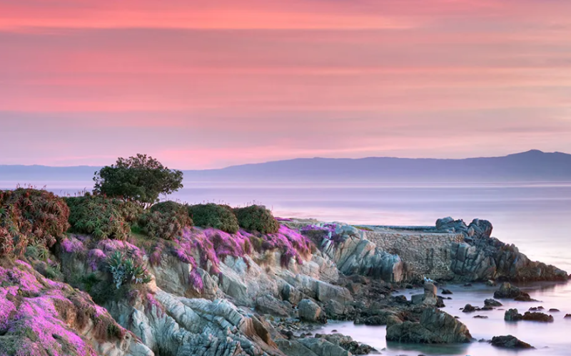 Screenshot 2025-10-02 093101