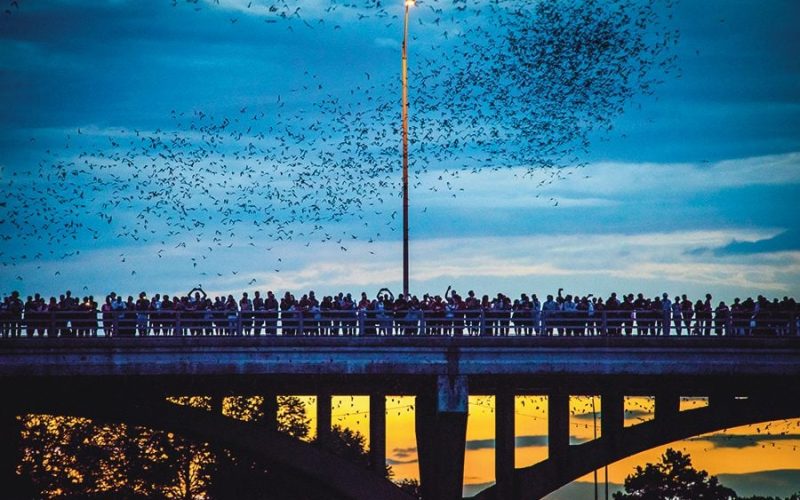 WEB-111322-Amanda-Stronza-56