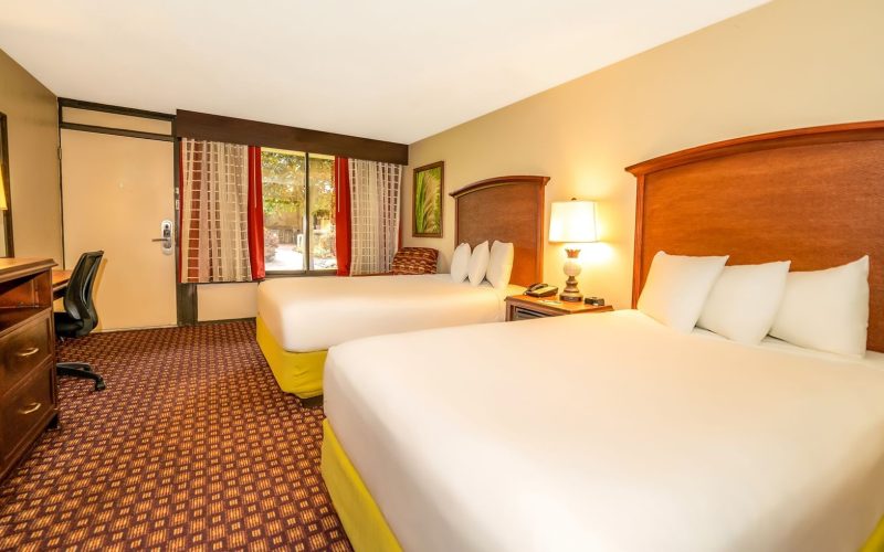 double-room-accommodations