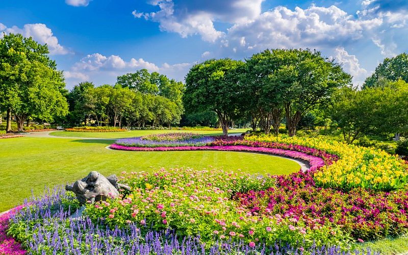 jonsson-color-garden