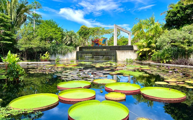naples-botanical-garden