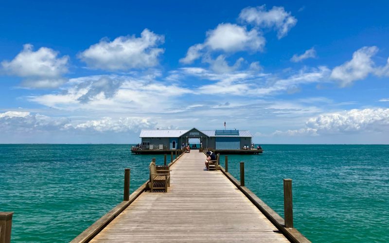 paul-crook-s_6-7q69nkg-unsplash.2000x1333