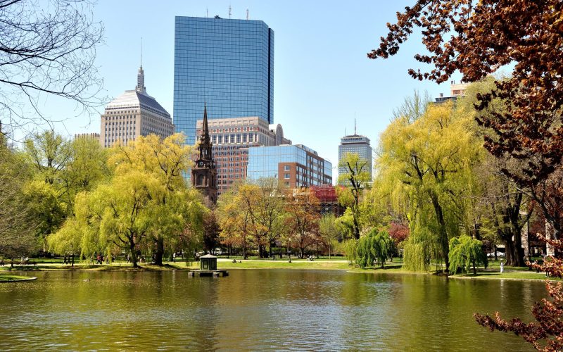 Boston,City,View,-,Public,Garden