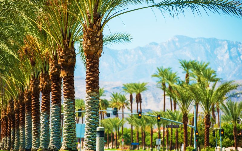 Palms,Road,Coachella,Valley.,Highway,111,In,Indian,Wells,,California,