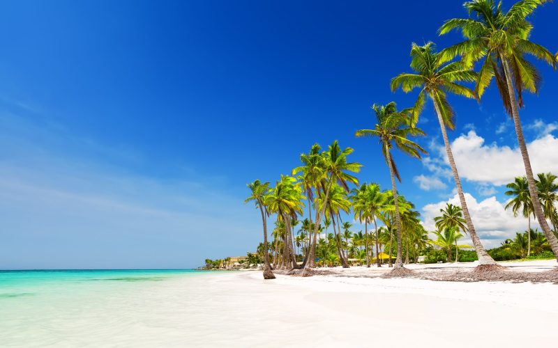 Coconut,Palm,Trees,On,White,Sandy,Beach,In,Punta,Cana,