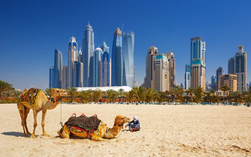 The,Camels,On,Jumeirah,Beach,And,Skyscrapers,In,The,Backround