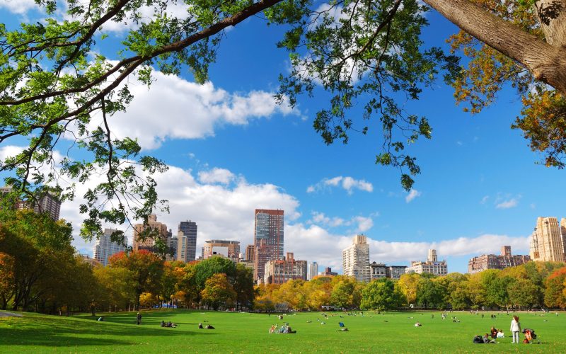 New,York,City,Manhattan,Skyline,Panorama,Viewed,From,Central,Park